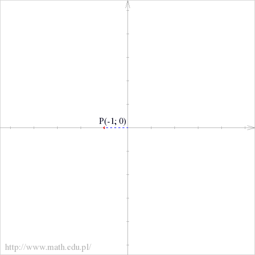 P(-1; 0)